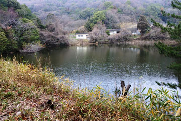 日出谷池 日出谷池