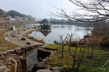 池の内大池 池の内大池