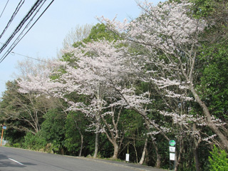 6区のバス停 6区のバス停