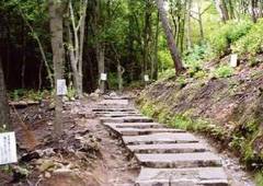 詩の小路 詩の小路