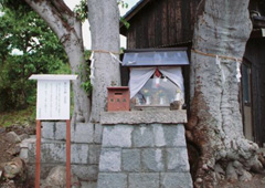 賽の大神 賽の大神