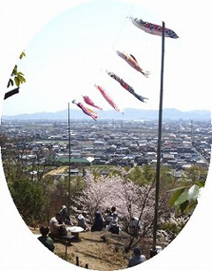 鯉のぼりがはためくお瀧山花広場からの眺望 鯉のぼりがはためくお瀧山花広場からの眺望