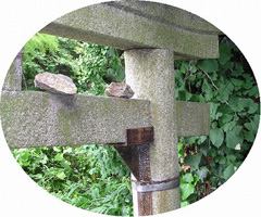 鉄材で補強された鳥居 鉄材で補強された鳥居