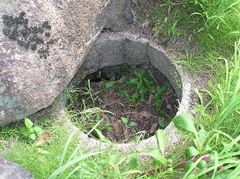 参道脇(鳥居のある石垣のすぐ下)にある枯れた清泉(井戸) 参道脇(鳥居のある石垣のすぐ下)にある枯れた清泉(井戸)