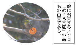 庭に飛来するメジロ 「めじろ文庫」の命名の由来である 庭に飛来するメジロ 「めじろ文庫」の命名の由来である
