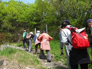 柾木山へ向かう 柾木山へ向かう