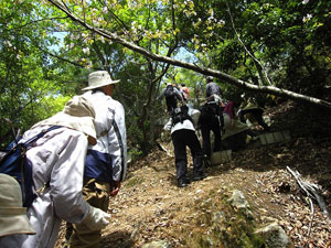 急な山道を柾木山へ 急な山道を柾木山へ
