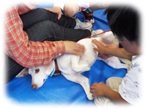 犬とのふれあい(2) 犬とのふれあい(2)