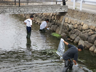 倉安川での作業の様子(1) 倉安川での作業の様子(1)