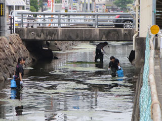 倉安川での作業の様子(2) 倉安川での作業の様子(2)