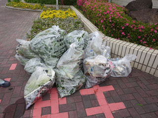 集めたごみ 集めたごみ