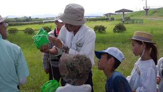 採集した昆虫の名前調べ(1) 採集した昆虫の名前調べ(1)