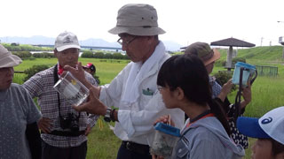 採集した昆虫の名前調べ(2) 採集した昆虫の名前調べ(2)
