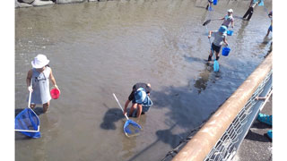 生きもの採集(1) 生きもの採集(1)