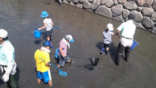 生きもの採集(2) 生きもの採集(2)