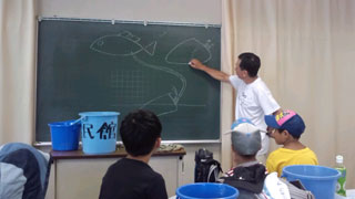 タナゴの産卵について タナゴの産卵について