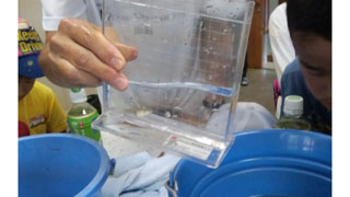 魚の名前・説明 魚の名前・説明