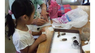 標本ラベルの記入(1) 標本ラベルの記入(1)