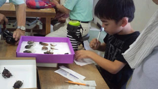 標本ラベルの記入(2) 標本ラベルの記入(2)