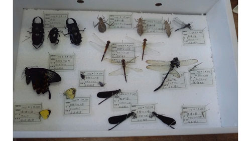 完成した作品(2) 完成した作品(2)