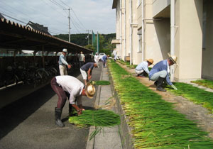 天日干し(2) 天日干し(2)