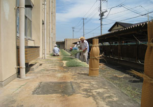 天日干し(3) 天日干し(3)