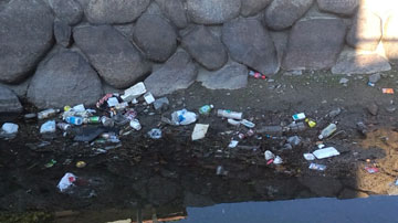 富山橋付近のごみ 富山橋付近のごみ