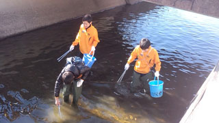 ごみを探して川の中を進む ごみを探して川の中を進む