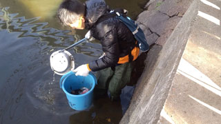 大きなごみを回収 大きなごみを回収