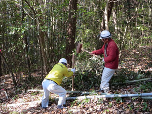 散策路の杭打ち 散策路の杭打ち