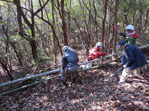 散策路づくり 散策路づくり