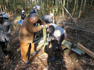 苗の支柱づくり 苗の支柱づくり