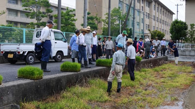 田植えの様子(1) 田植えの様子(1)