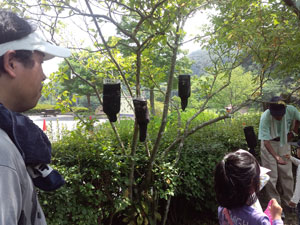 トラップの吊り下げ トラップの吊り下げ