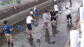 生きもの採集(1) 生きもの採集(1)
