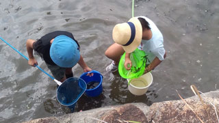 生きもの採集(2) 生きもの採集(2)