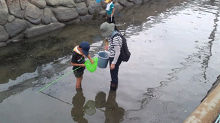 生きもの採集(3) 生きもの採集(3)