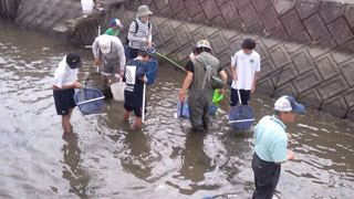 生きもの採集(4) 生きもの採集(4)