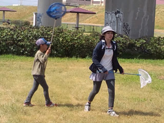 昆虫採集(2) 昆虫採集(2)