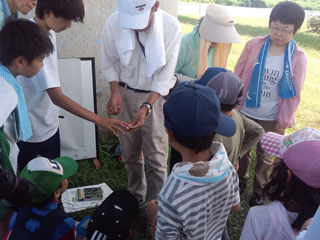 近藤先生の説明(2) トンボの違い 近藤先生の説明(2) トンボの違い