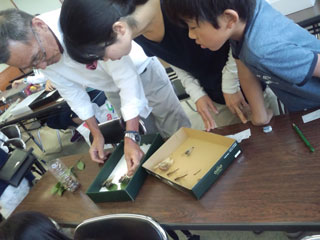 先生の指導(1) 先生の指導(1)