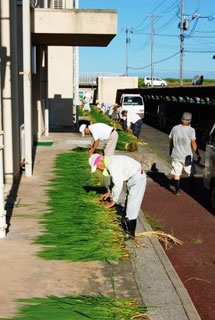 天日干しの様子(1) 天日干しの様子(1)