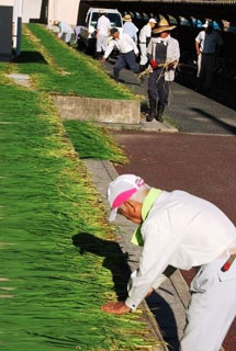 天日干しの様子(2) 天日干しの様子(2)