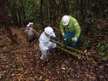 散策路の柵設置 散策路の柵設置
