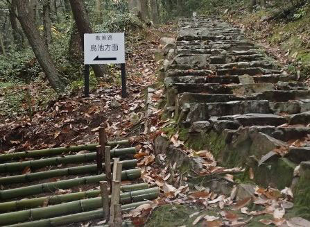 詩の小径(右)から分かれる散策路 詩の小径(右)から分かれる散策路