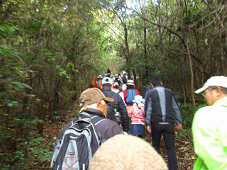 山道を進む 山道を進む