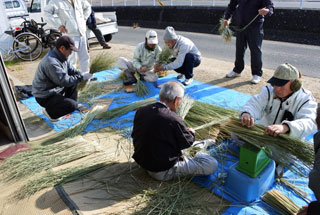 藁の加工作業の様子(2) 藁の加工作業の様子(2)