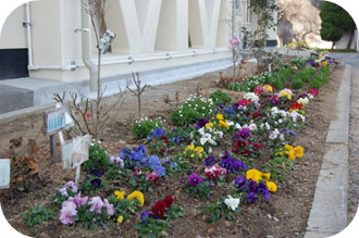 玄関前の花壇 玄関前の花壇