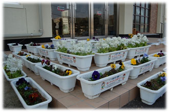 玄関前の花壇 玄関前の花壇