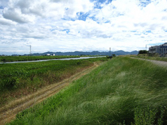 海吉橋南から大仙樋門を望む 海吉橋南から大仙樋門を望む
